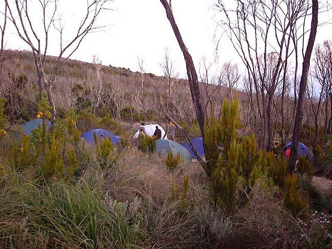 Machame Camp