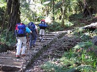 Excellently prepared path. This used to be a notorious section of mud and hidden roots. 
