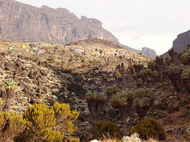 Reaching Barranco camp, 3950m