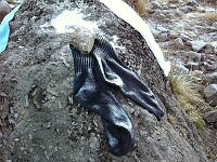 Drying my socks outside was not a good idea.