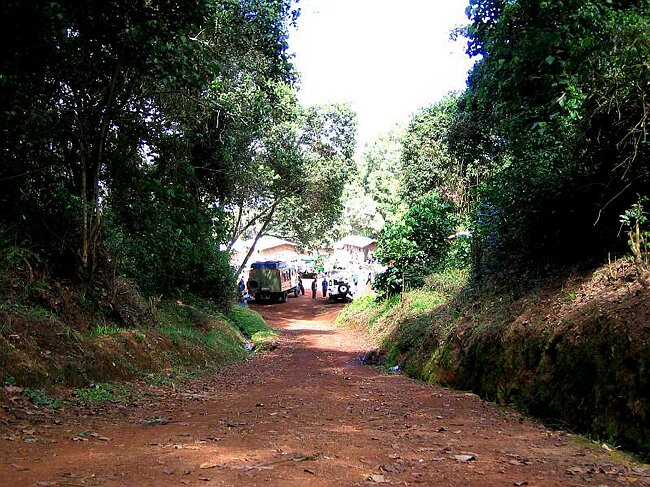 At the Gate